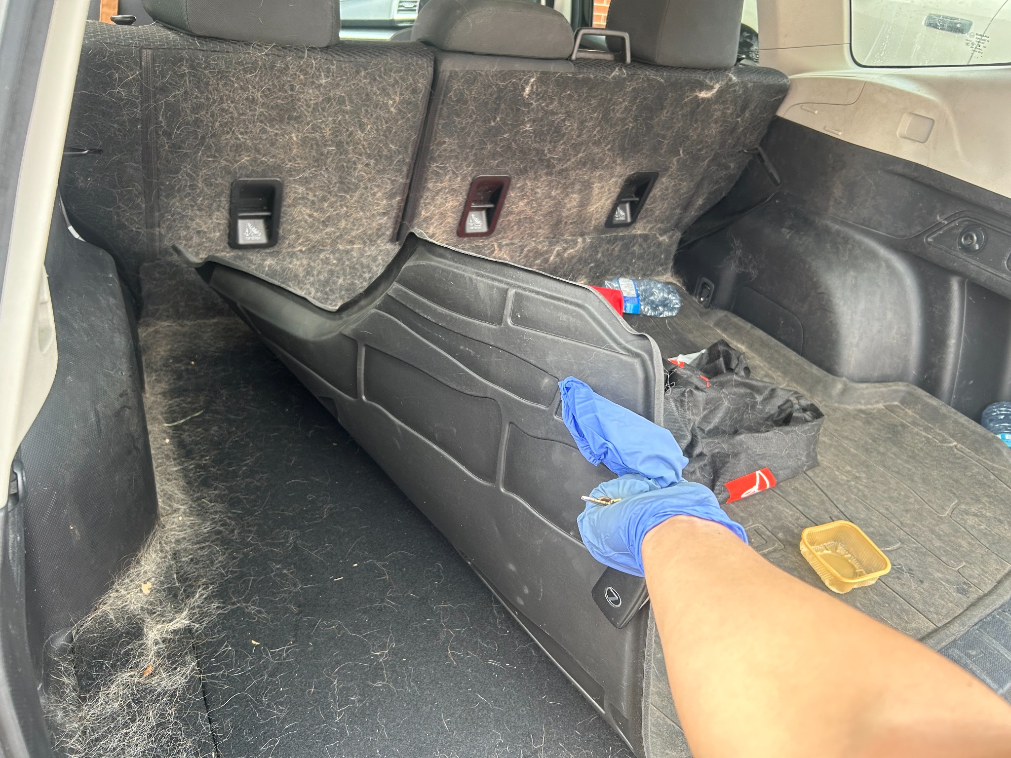 Cargo area before detailing