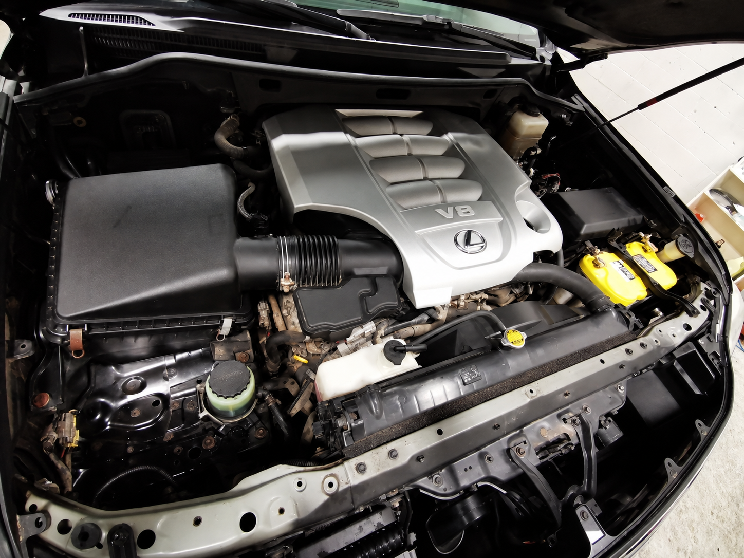 Engine bay after detailing