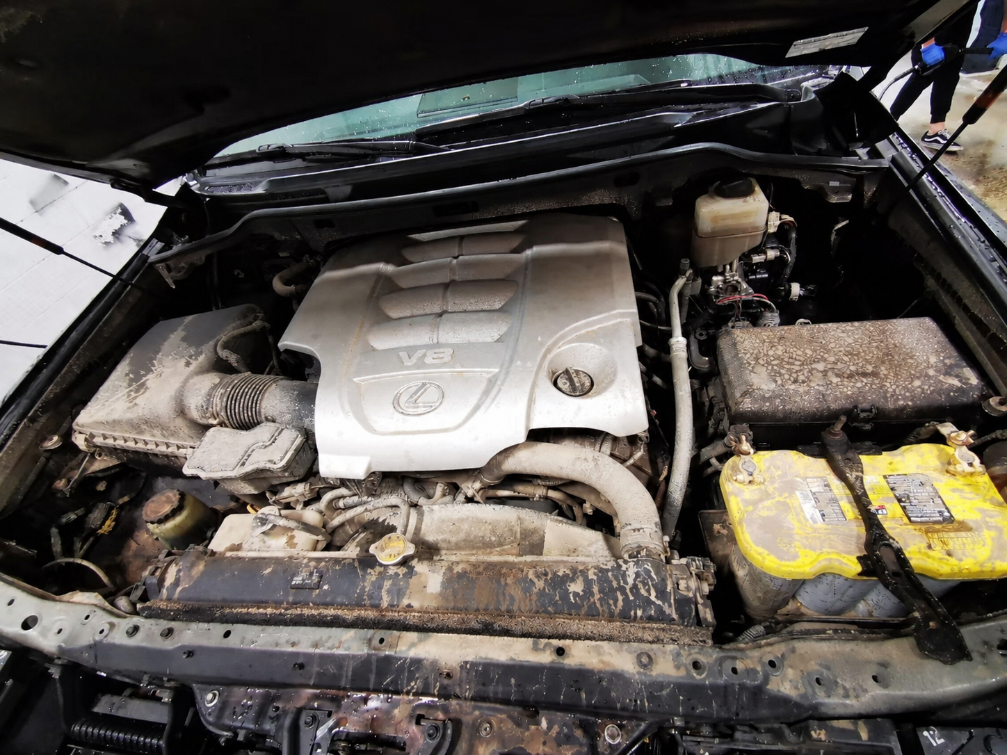 Engine bay before detailing