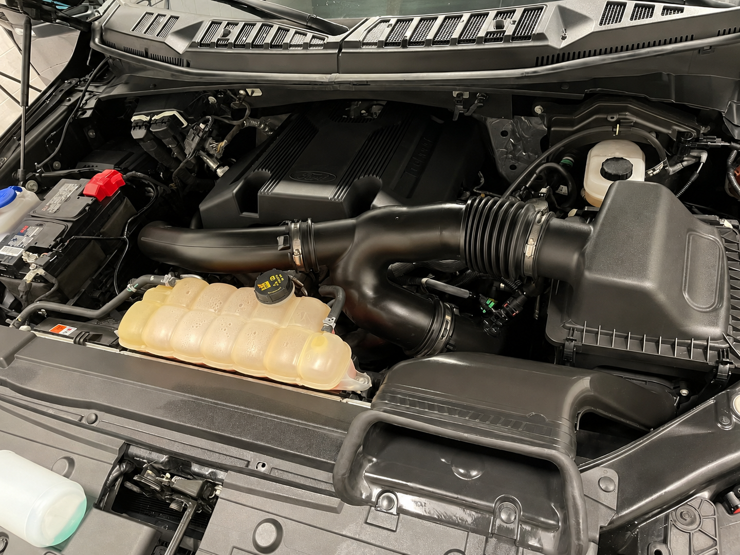 Ford engine bay after detailing